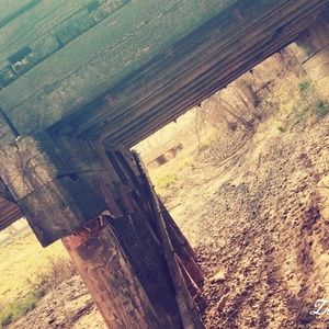 Meet your Posher, Talia